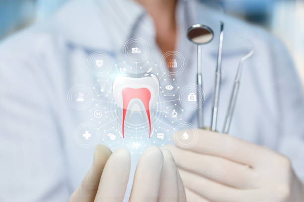 Best Preventive Dentistry  in Stem, NC
